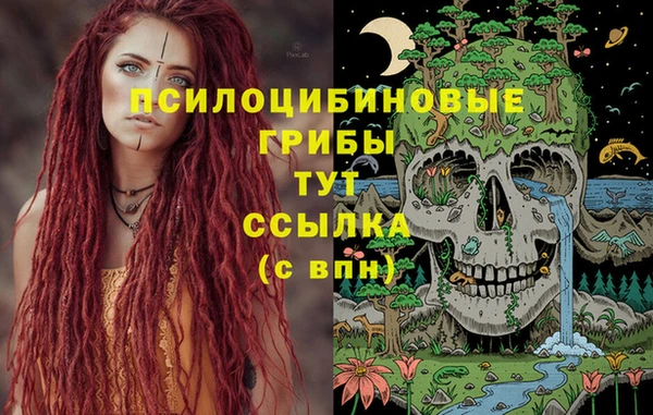 бутират Богородицк