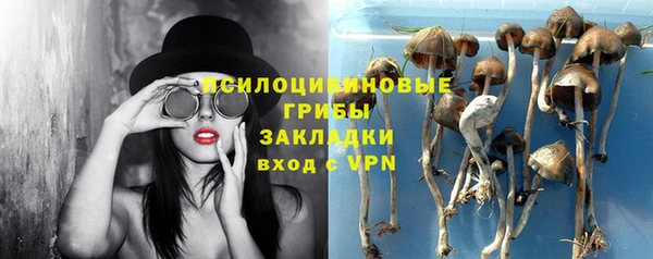 бутират Богородицк